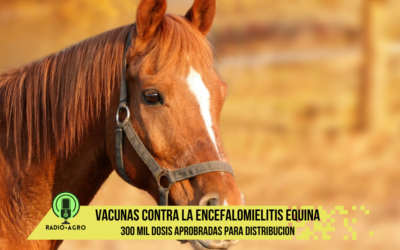 Comienzan a distribuirse las primeras vacunas contra la encefalomielitis equina