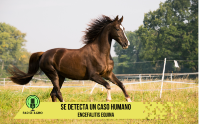 Se detectó un caso humano de Encefalitis Equina del Oeste