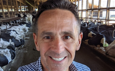 La “grandeza” de un tambo, definida por sus costos de producción