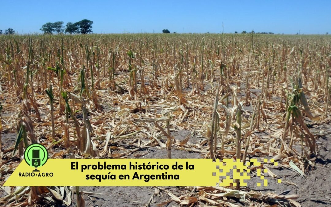 El problema histórico de la sequía en Argentina