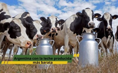 Argentina vuelve a producir la leche más barata a nivel mundial