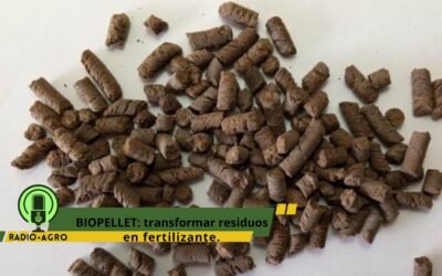 Biopellet: la transformación de residuos en fertilizante