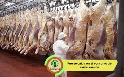 El consumo de carne vacuna sufrió su peor caída en 20 años y ya no hay «efecto chancho» que compense la crisis