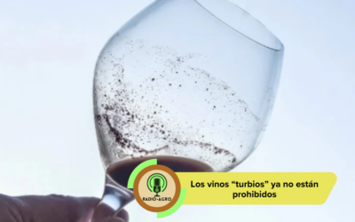 ¿Borra en la copa? Por qué los vinos «turbios» ya no están prohibidos