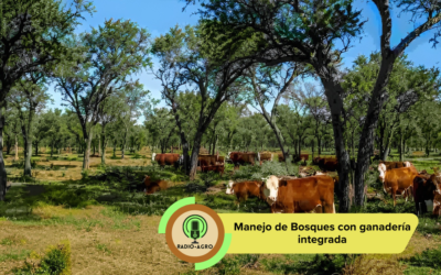 MANEJO DE BOSQUES CON GANADERIA INTEGRADA.
